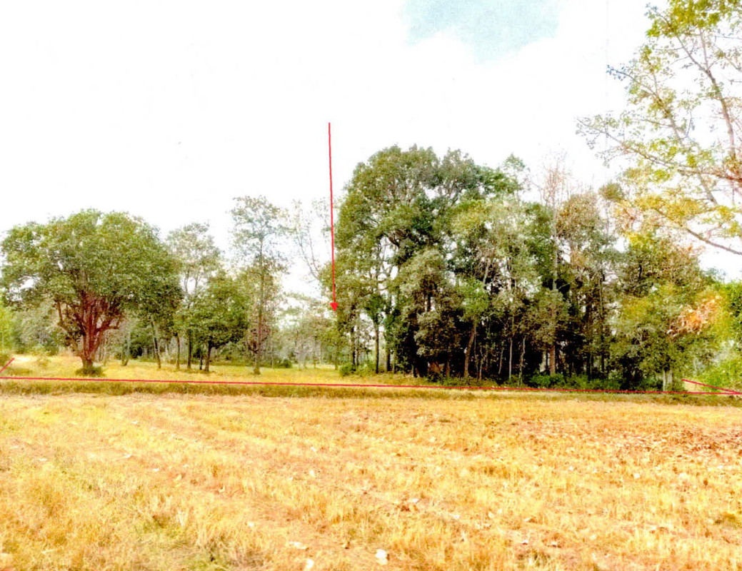 Residential land/lot Si Sa Ket Wang Hin Phon Yang 1399613