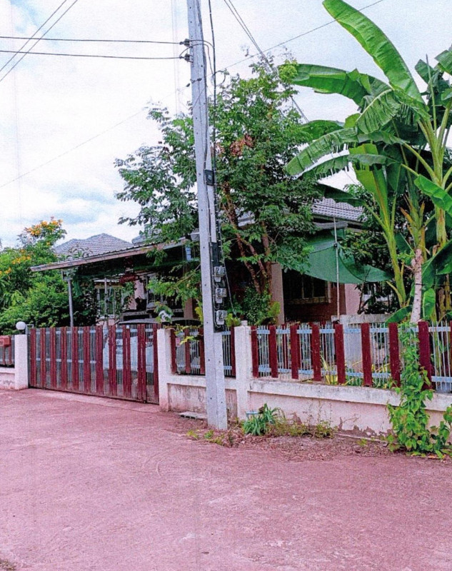 Single house Khon Kaen Chum Phae Nong Phai 0