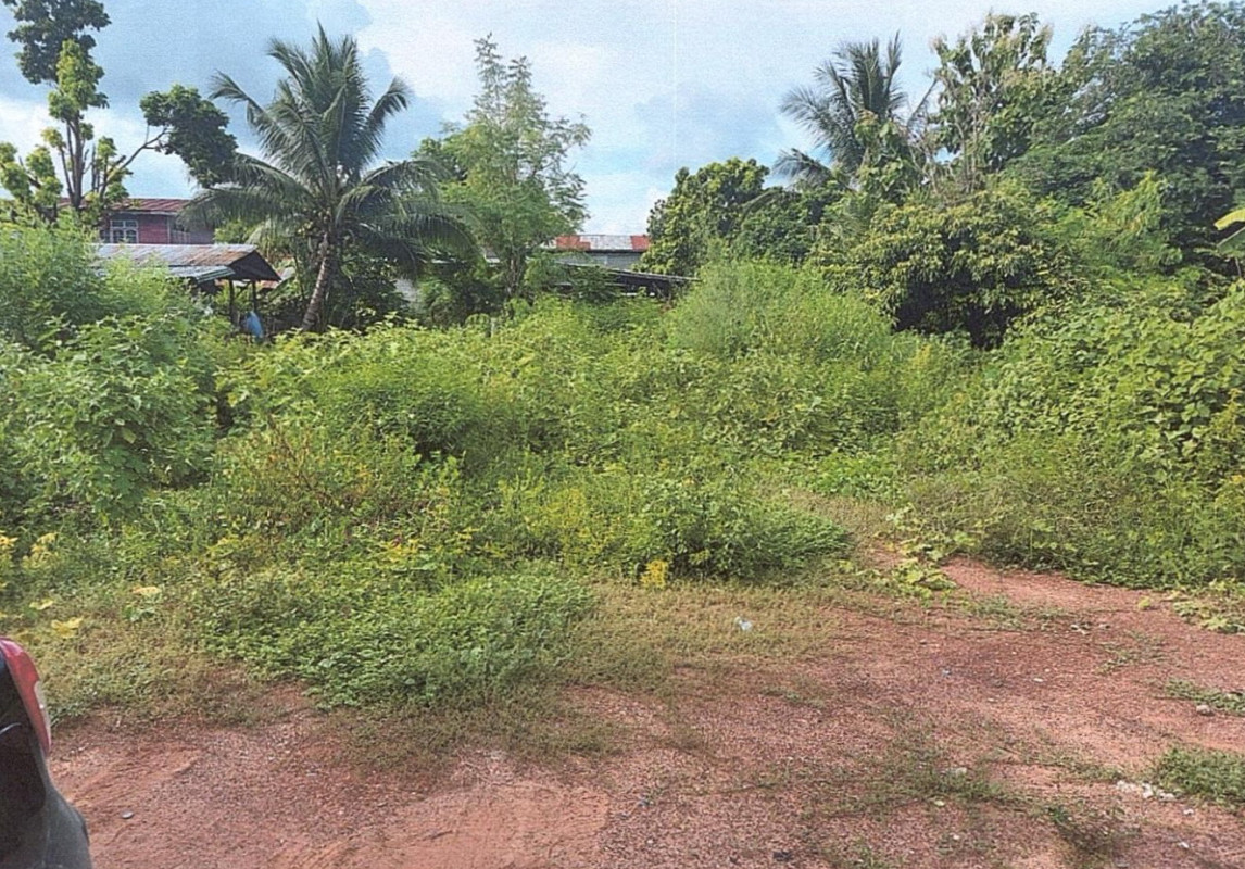 Residential land/lot Khon Kaen Si Chomphu Nong Daeng 0
