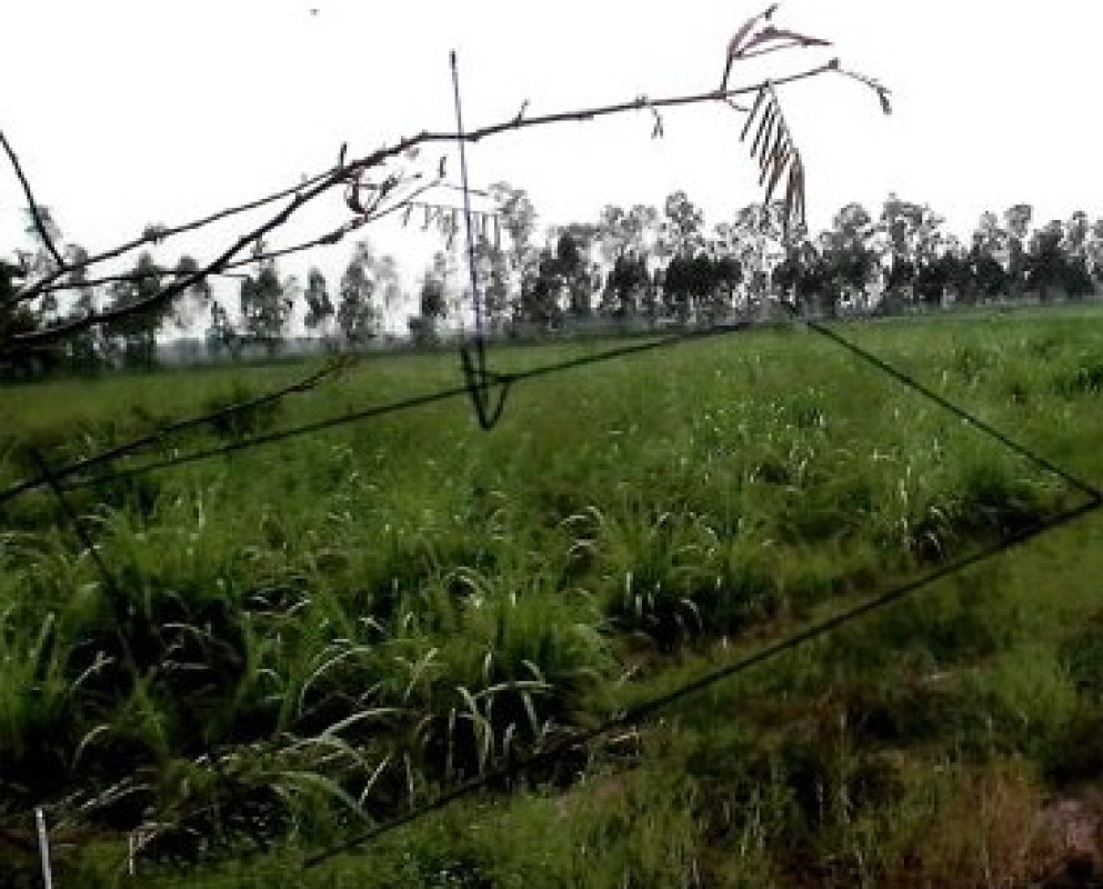 Residential land/lot Kamphaeng Phet Mueang Kamphaeng Phet Thep Nakhon 29190