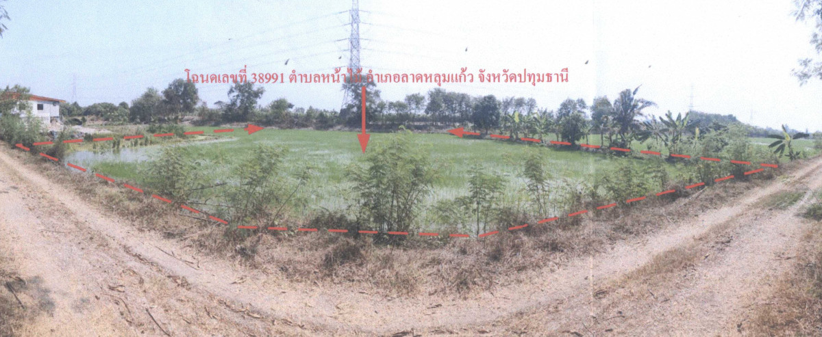 ที่ดินเปล่า ปทุมธานี ลาดหลุมแก้ว หน้าไม้ 905850