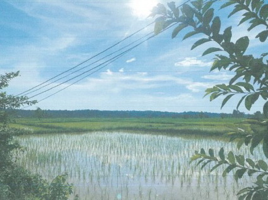 ที่ดินเปล่า นครพนม เมืองนครพนม อาจสามารถ 0