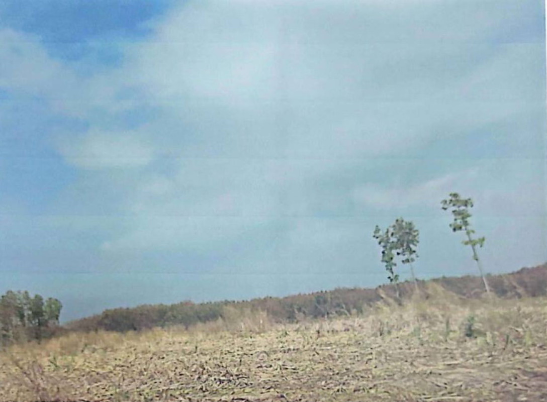 Residential land/lot Nakhon Phanom Pla Pak Pla Pak 430690