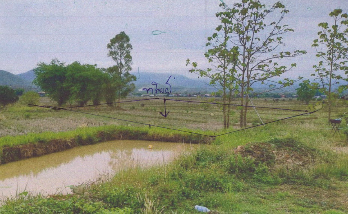 ที่ดินเปล่า พะเยา เชียงม่วน เชียงม่วน 0