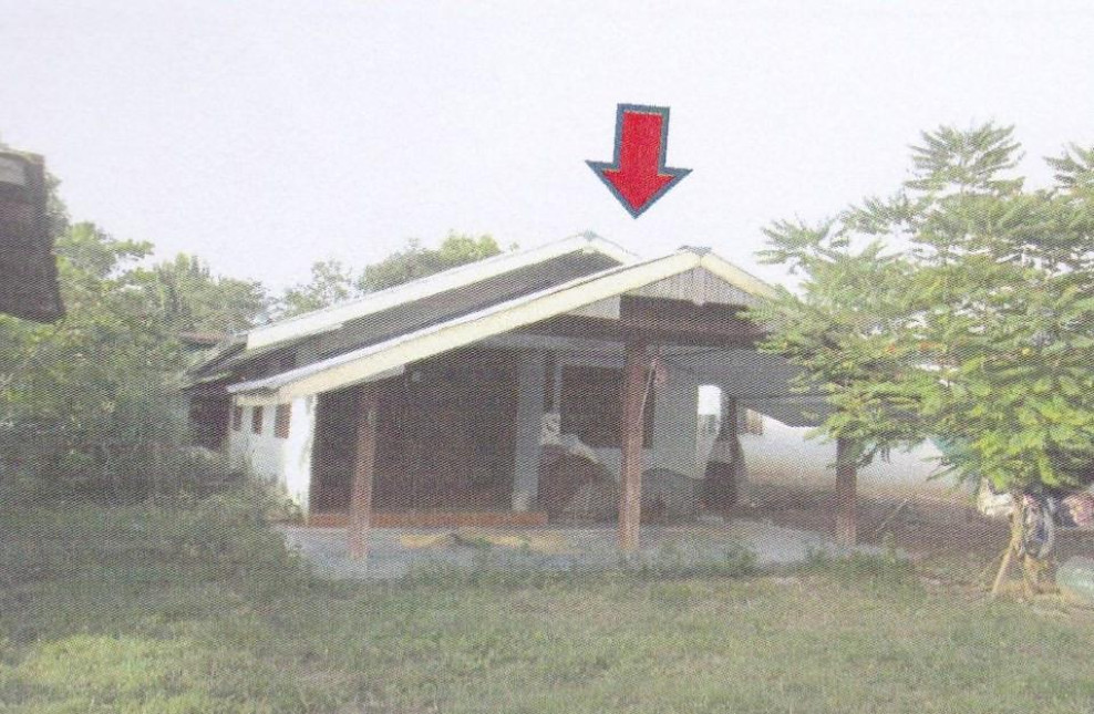 บ้านเดี่ยว โนนภูทอง เลย ผาขาว ท่าช้างคล้อง 450000