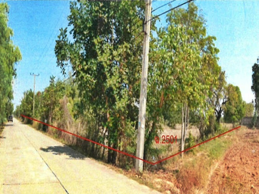 ที่ดินเปล่า มหาสารคาม เมืองมหาสารคาม ตลาด 5351500