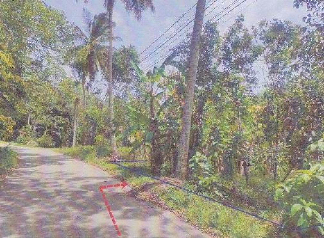 ที่ดินเปล่า    245850