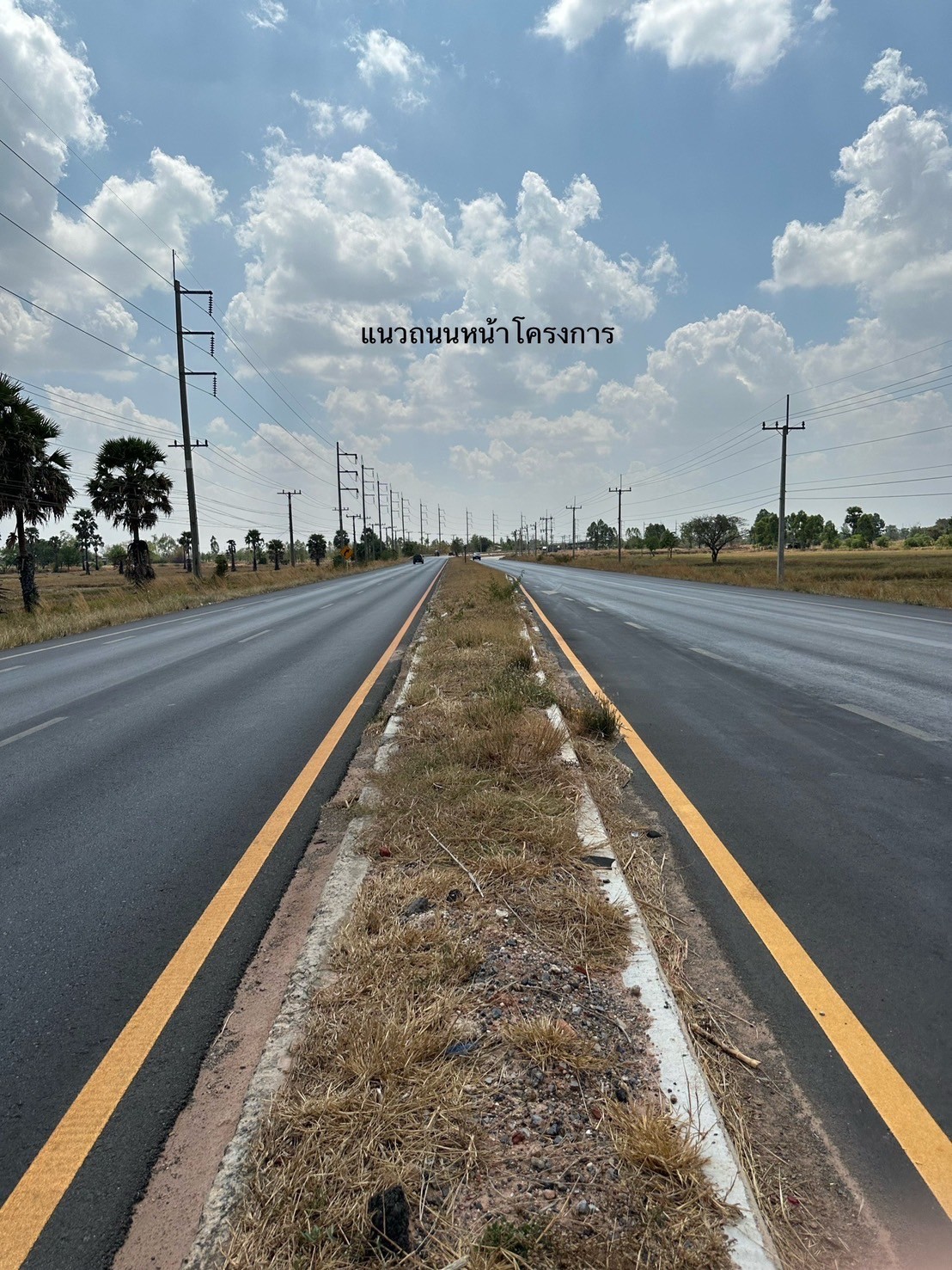 ที่ดินเปล่า นครราชสีมา ด่านขุนทด หนองบัวตะเกียด 35700000
