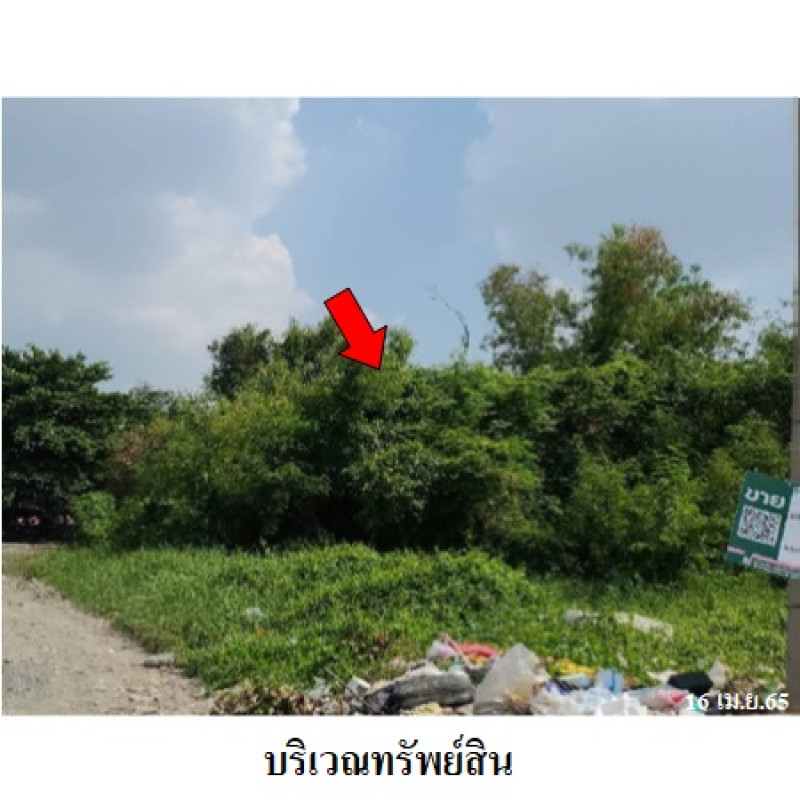 ที่ดินเปล่า เมืองประชา ปทุมธานี เมืองปทุมธานี บางคูวัด 4790000