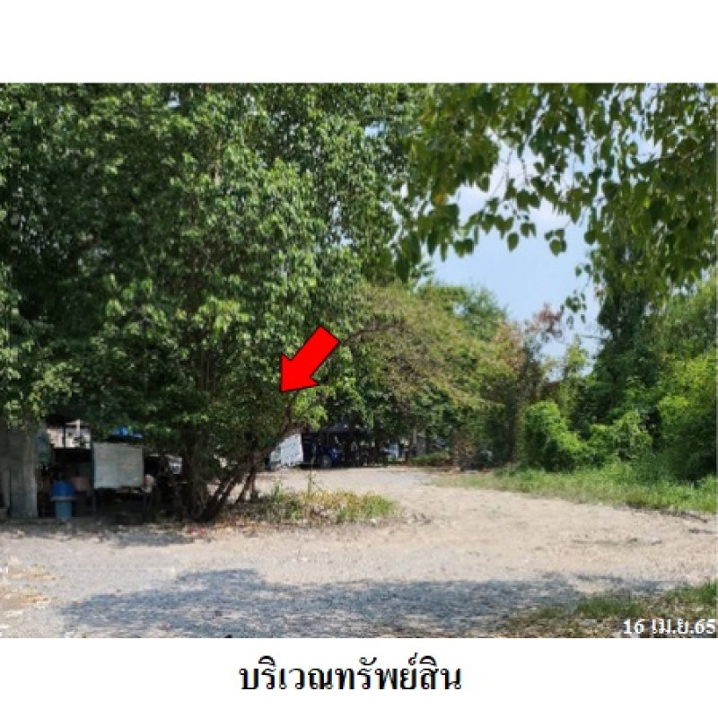 ที่ดินเปล่า เมืองประชา ปทุมธานี เมืองปทุมธานี บางคูวัด 1808000