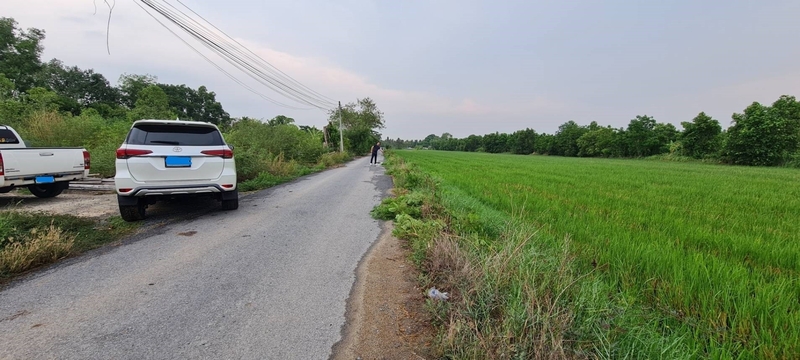 ที่ดินเปล่า ปทุมธานี หนองเสือ บึงบา 1650000