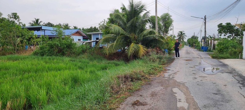 ที่ดินเปล่า ปทุมธานี หนองเสือ บึงบา 1650000