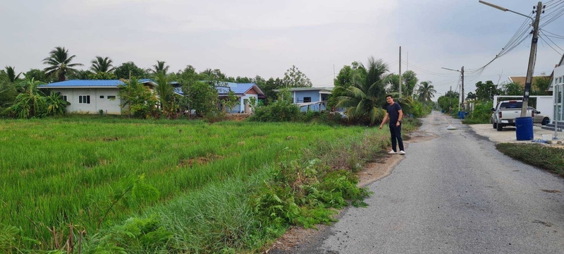 ที่ดินเปล่า ปทุมธานี หนองเสือ บึงบา 1650000