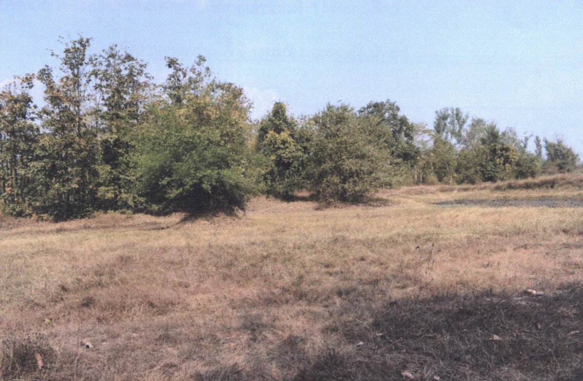 Residential land/lot Lampang Thoen Lom Raet 33150