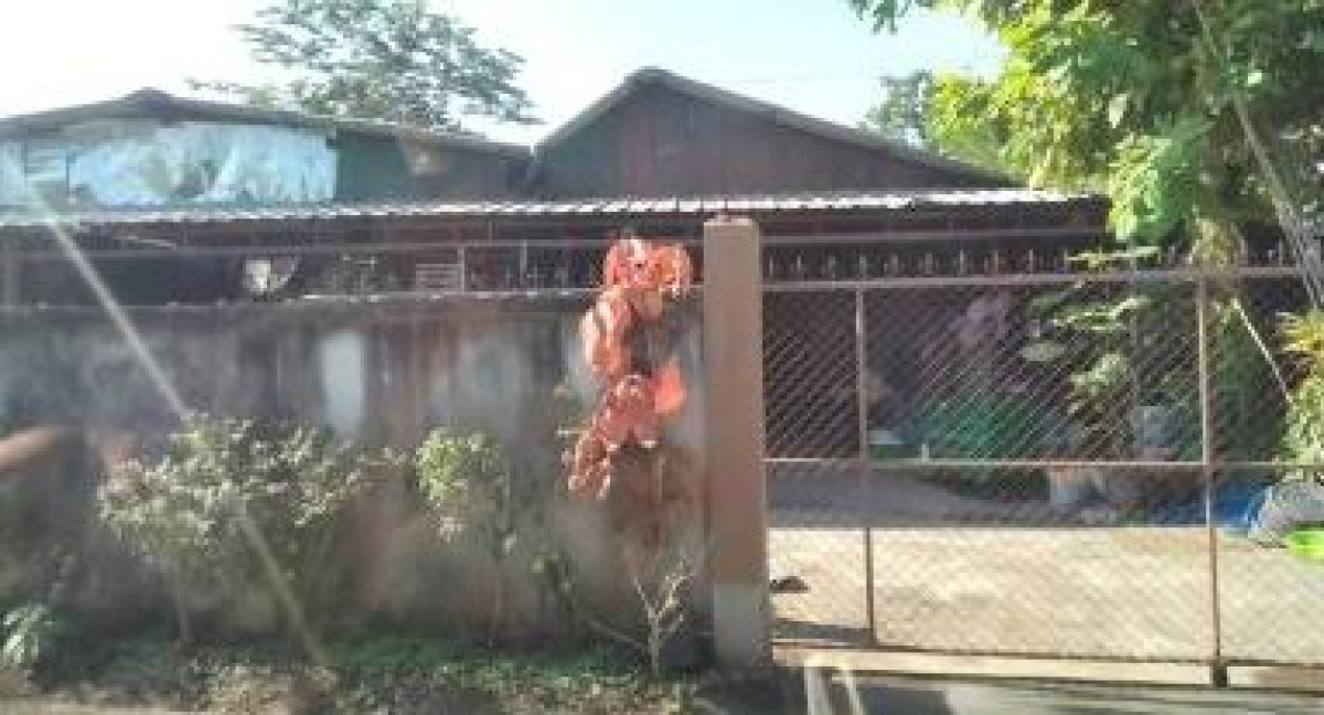 บ้านเดี่ยว เชียงใหม่ ดอยสะเก็ด สง่าบ้าน 509120