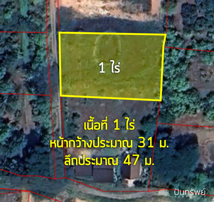 ที่ดินเปล่า เชียงใหม่ เชียงดาว เมืองงาย 1000000