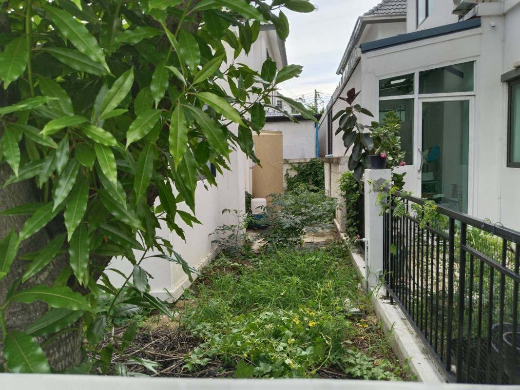 บ้านแฝด โมดิ วิลล่า ปิ่นเกล้า - สาย 5 นครปฐม สามพราน บางกระทึก 3900000