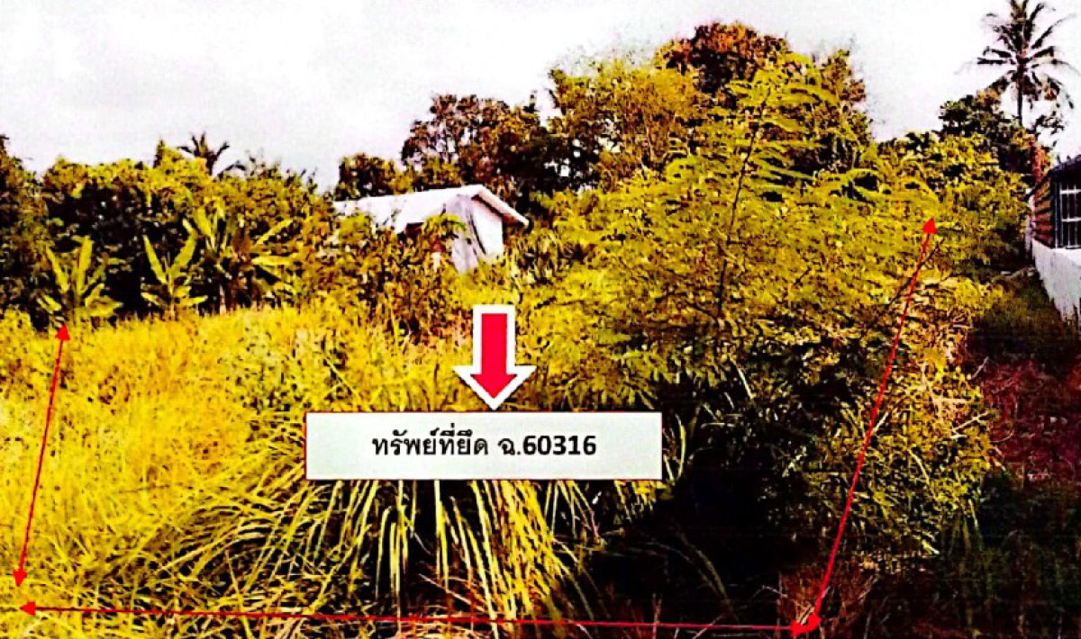 ที่ดินเปล่า บุรีรัมย์ ลำปลายมาศ ลำปลายมาศ 192720