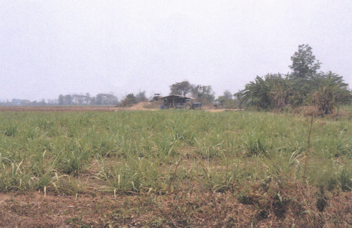 ที่ดินเปล่า แพร่ เมืองแพร่ เหมืองหม้อ 76500