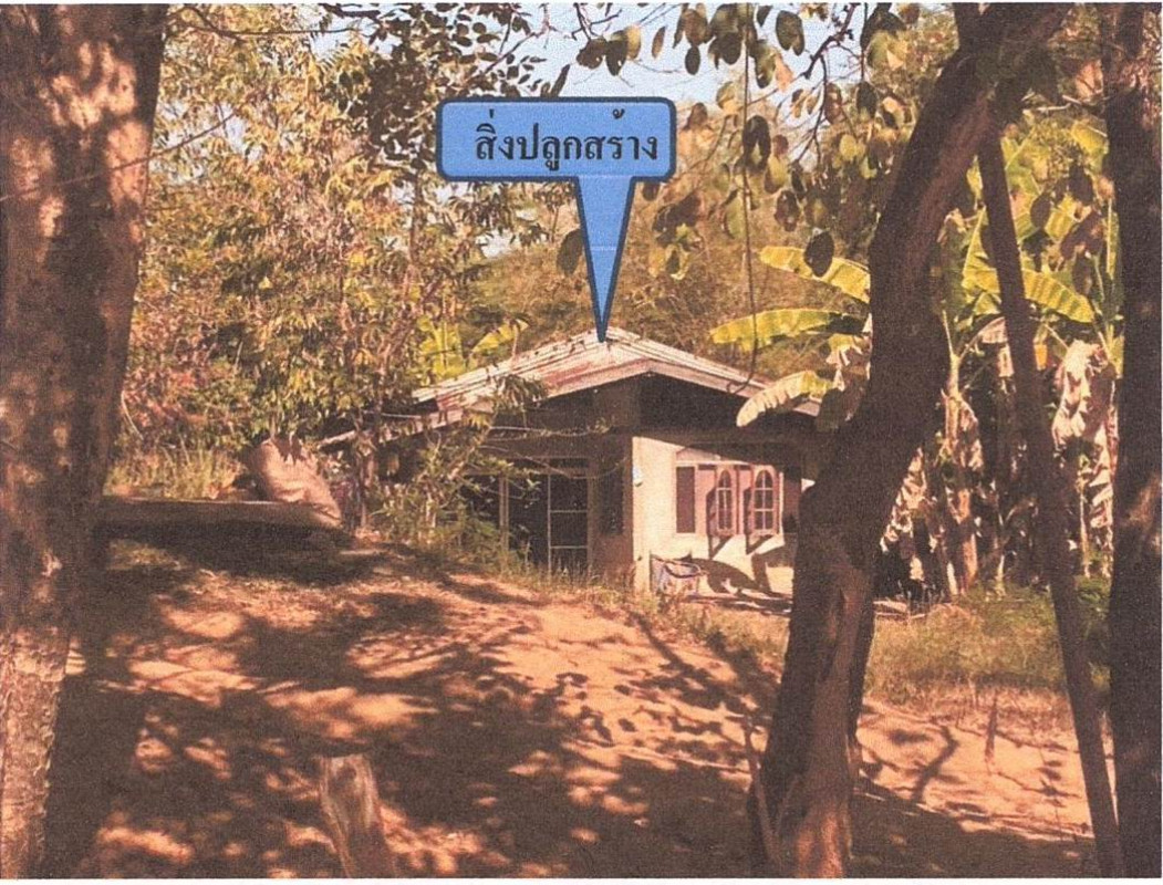 บ้านเดี่ยว ขอนแก่น ชุมแพ ขัวเรียง 0