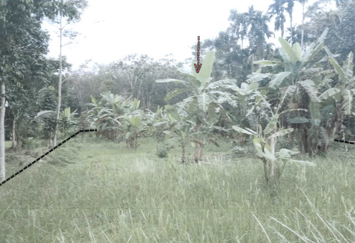 Residential land/lot Nakhon Si Thammarat Chawang La-Ai 664100