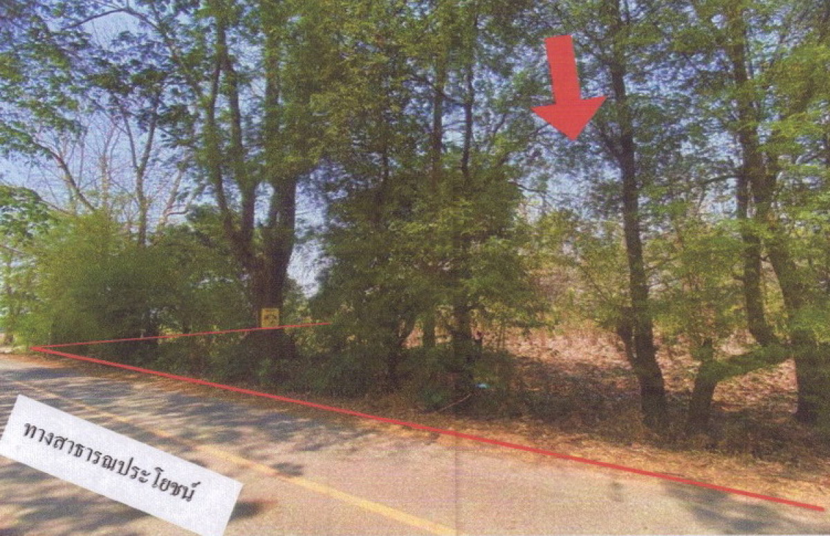 Residential land/lot Phayao Dok Khamtai Ban Tham 720000