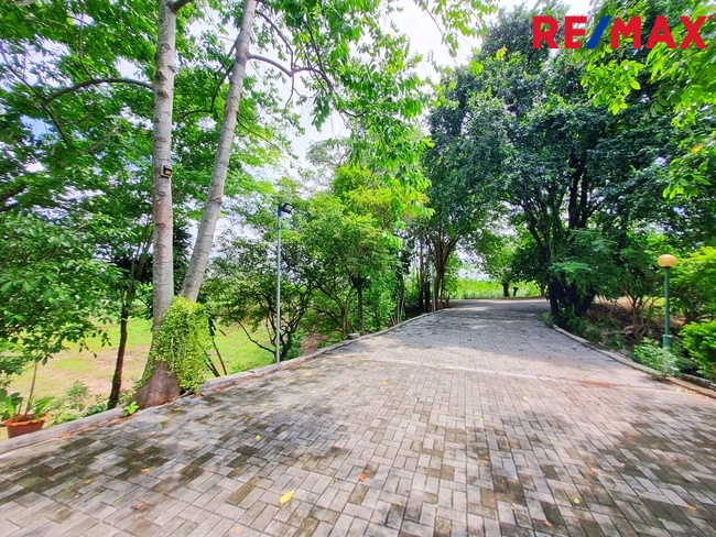 ที่ดินเปล่า ที่ดินเขาใหญ่ ปากช่อง นครราชสีมา ปากช่อง วังไทร 28000000