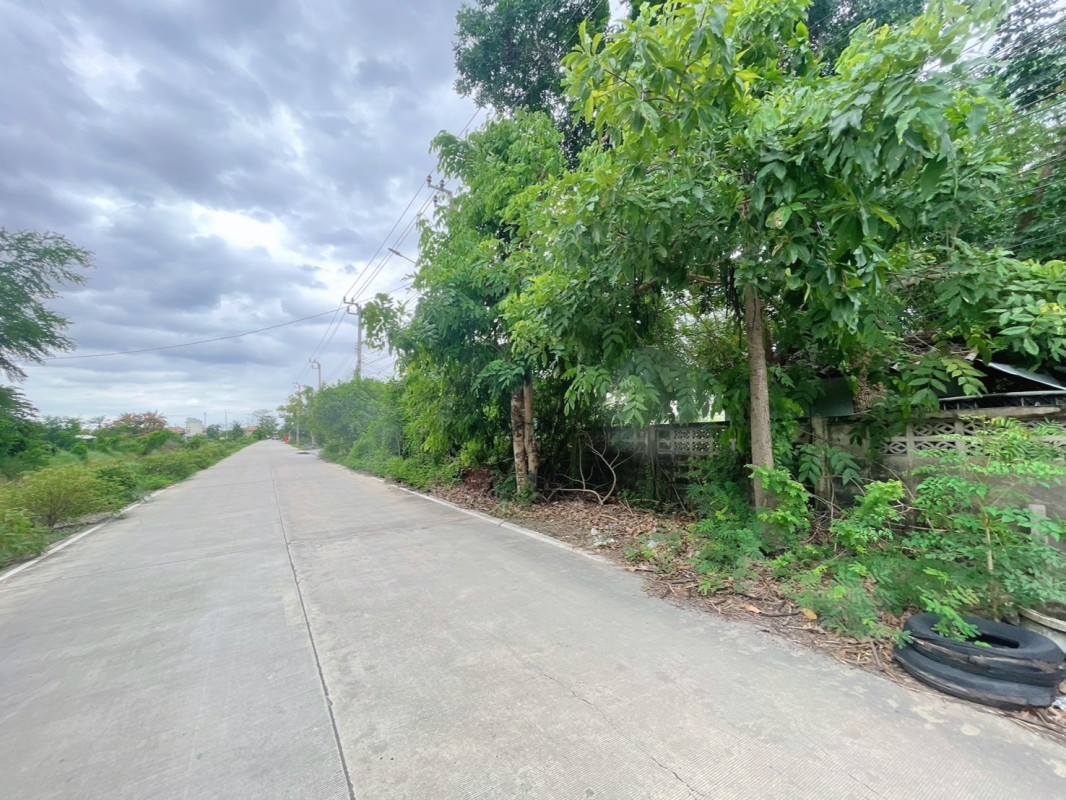 ที่ดินเปล่า นนทบุรี บางบัวทอง บางคูรัด 7900000