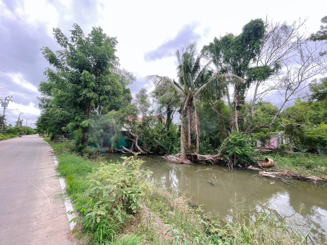 ที่ดินเปล่า นนทบุรี บางบัวทอง บางคูรัด 7900000