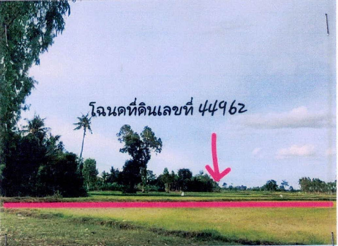 ที่ดินเปล่า ศรีสะเกษ ขุขันธ์ นิคมพัฒนา 109200