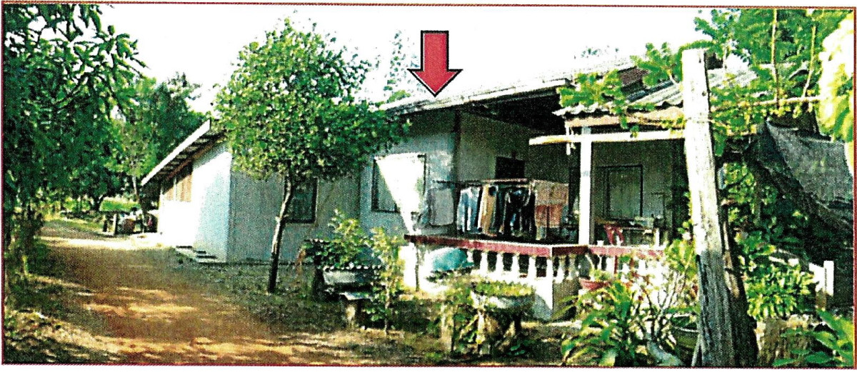 บ้านเดี่ยว ชัยภูมิ เนินสง่า หนองฉิม 713025