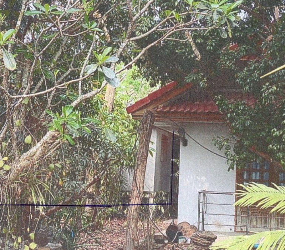บ้านเดี่ยว ขอนแก่น ชุมแพ ชุมแพ 1093620