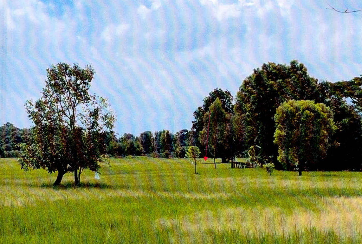 ที่ดินเปล่า ศรีสะเกษ เมืองศรีสะเกษ ทุ่ม 463980