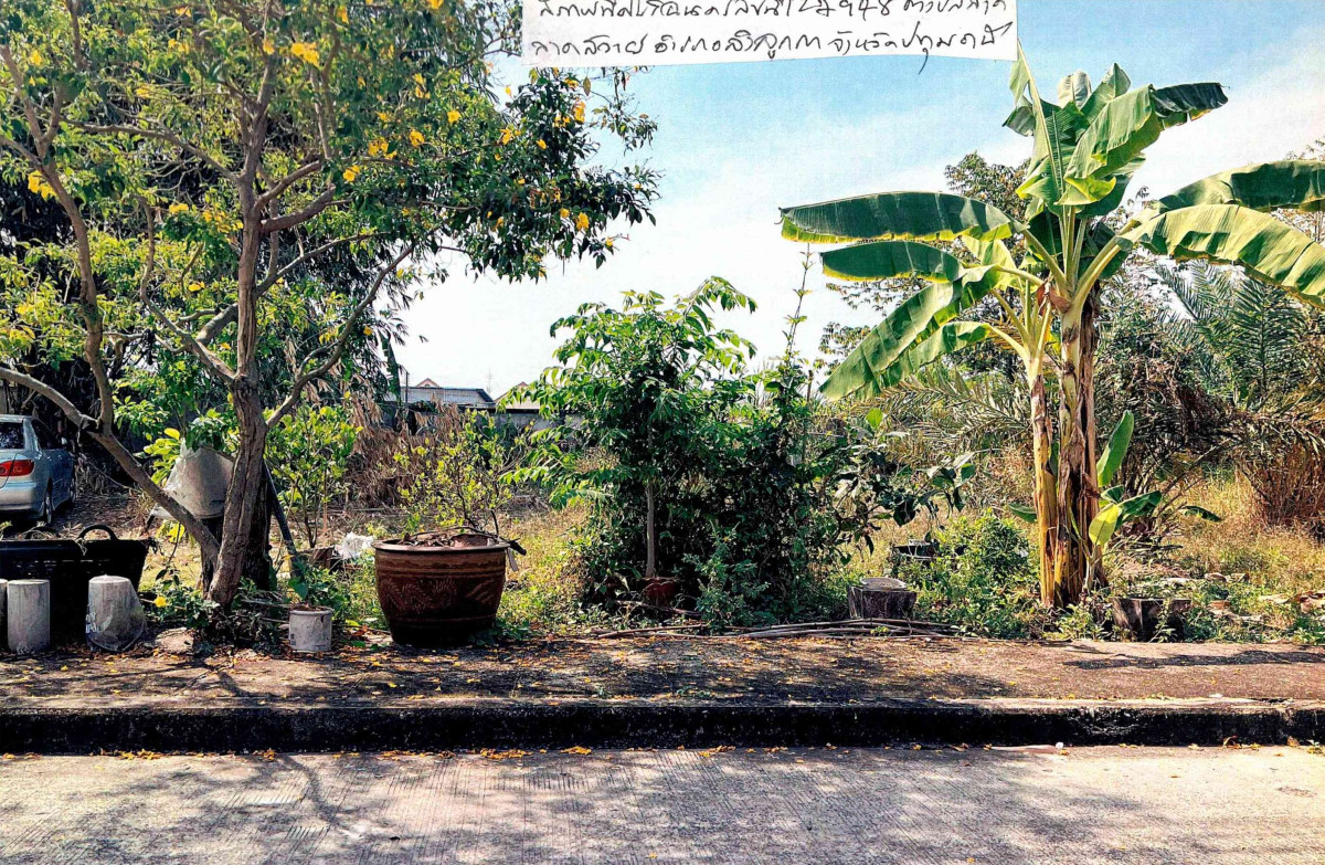 ที่ดินเปล่า ปทุมธานี ลำลูกกา ลาดสวาย 1219800