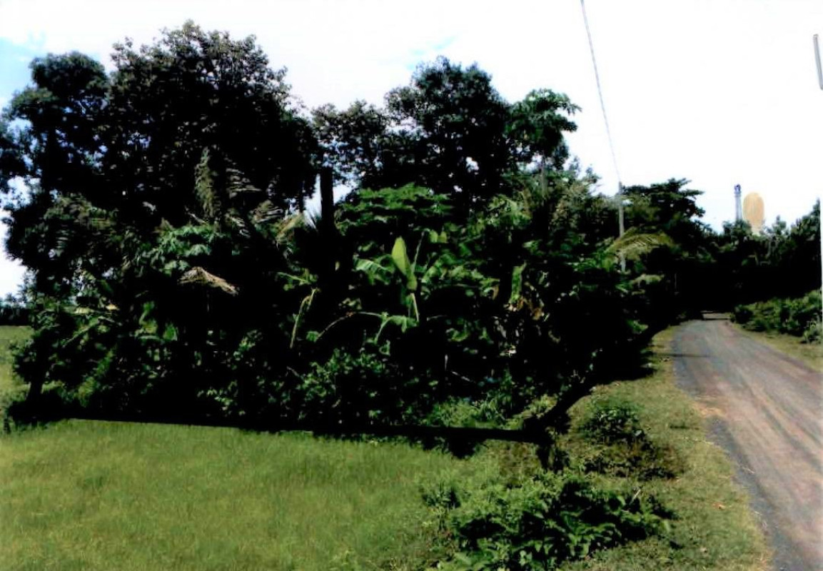 ที่ดินเปล่า บุรีรัมย์ นางรอง หนองกง 38000