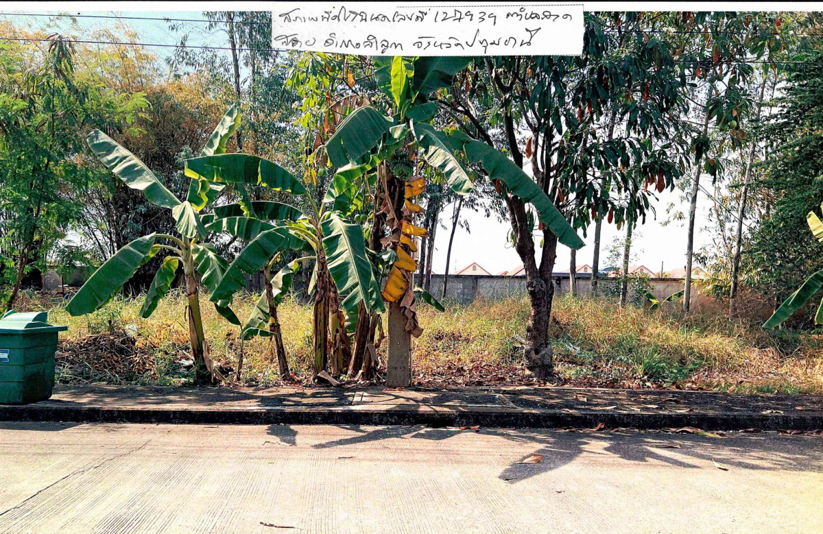 ที่ดินเปล่า ปทุมธานี ลำลูกกา ลาดสวาย 1187500
