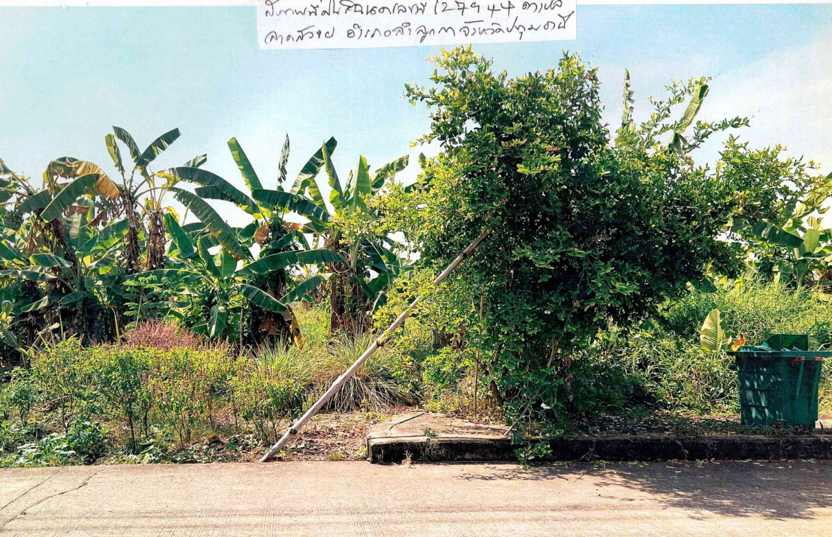Residential land/lot Pathum Thani Lam Luk Ka Lat Sawai 1204600
