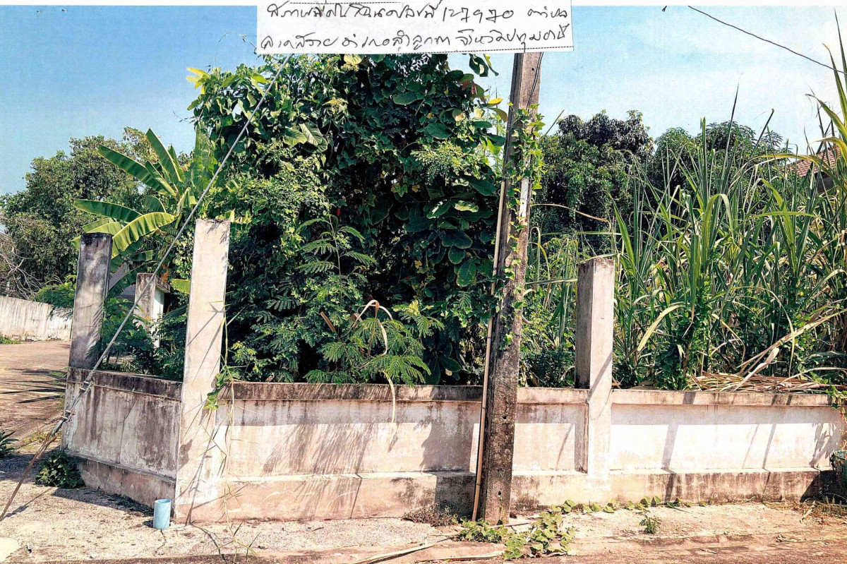 Residential land/lot Pathum Thani Lam Luk Ka Lat Sawai 1312900