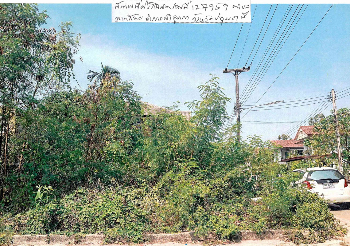 ที่ดินเปล่า ปทุมธานี ลำลูกกา ลาดสวาย 1290100