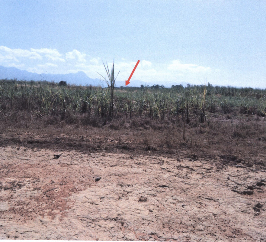 ที่ดินเปล่า แพร่ เมืองแพร่ เหมืองหม้อ 24200