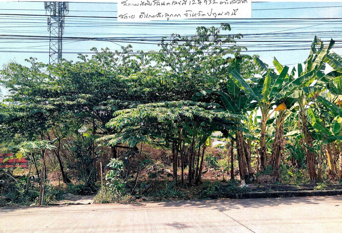 ที่ดินเปล่า ปทุมธานี ลำลูกกา ลาดสวาย 1160900