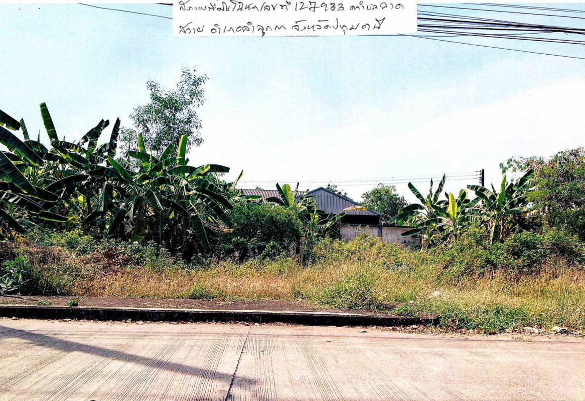 ที่ดินเปล่า ปทุมธานี ลำลูกกา ลาดสวาย 1164700