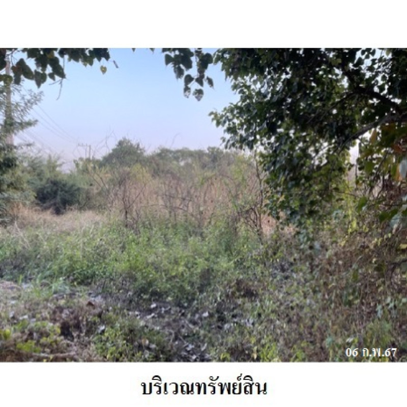 Residential land/lot Lamphun Pa Sang Ban Ruean 4188700