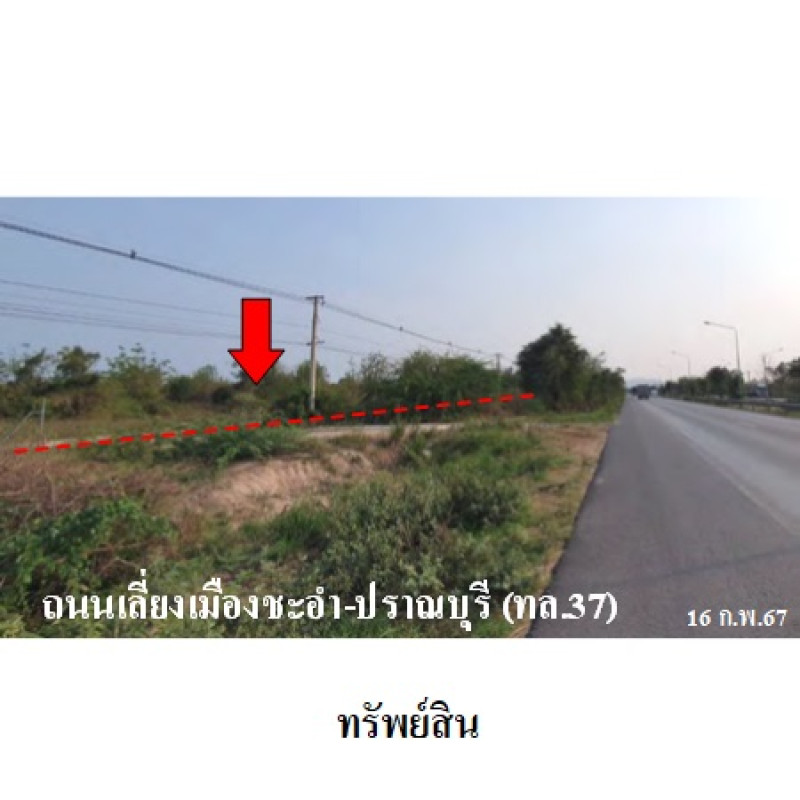 ที่ดินเปล่า เพชรบุรี ชะอำ ชะอำ 8100000