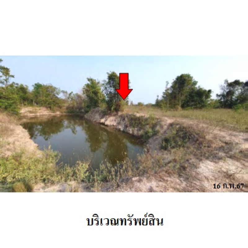 ที่ดินเปล่า เพชรบุรี ชะอำ ชะอำ 8100000