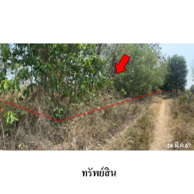 ที่ดินเปล่า เชียงใหม่ แม่แตง แม่หอพระ 754000