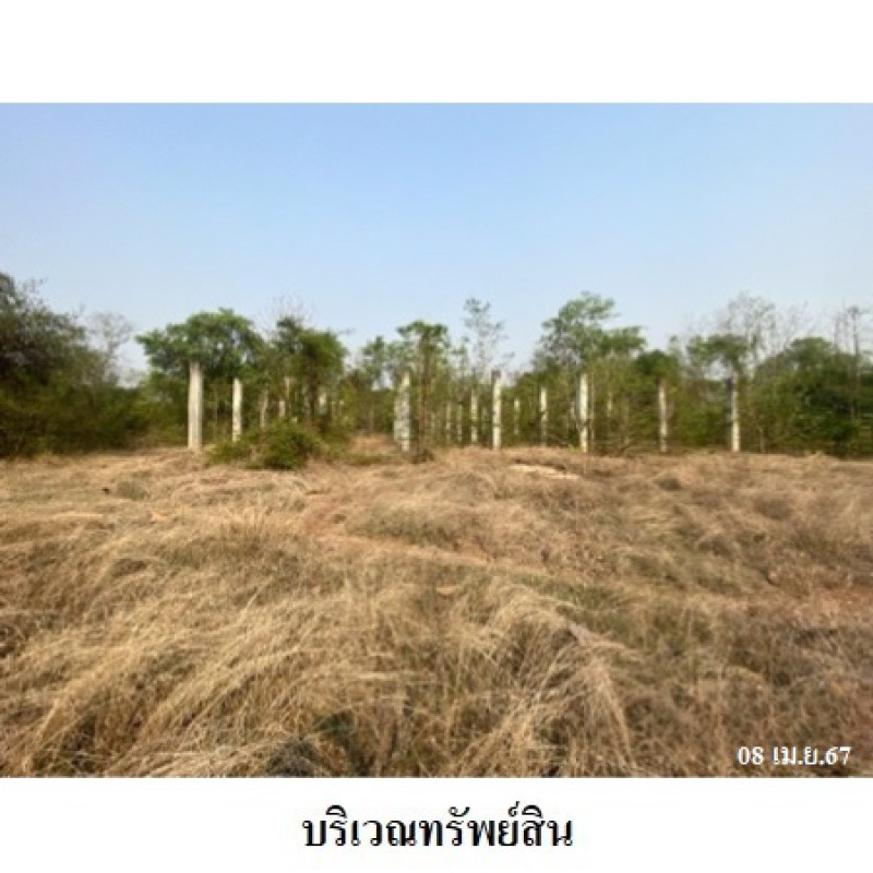 โรงงาน/โกดัง ลำปาง เถิน นาโป่ง 3310000