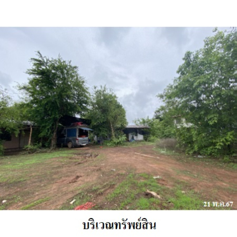 บ้านเดี่ยว มหาสารคาม บรบือ หนองสิม 4440000
