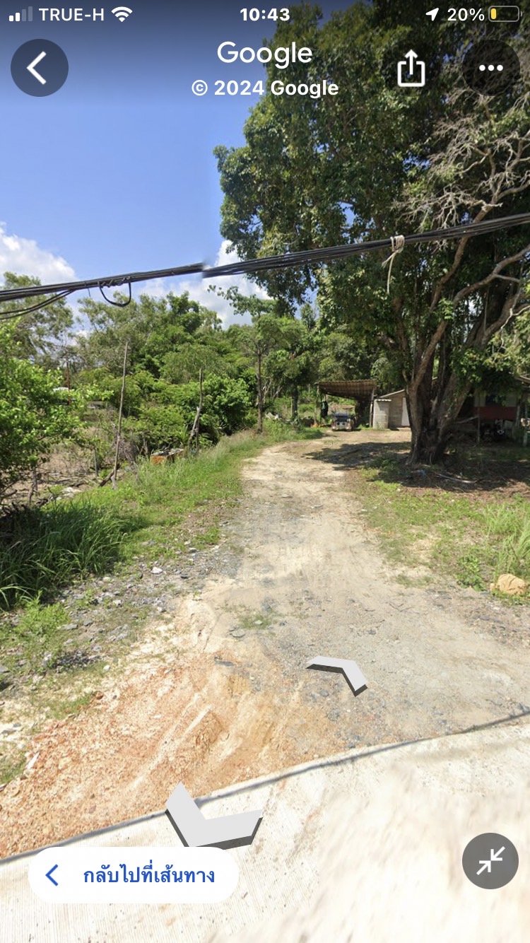 ที่ดินเปล่า กระบี่ เกาะลันตา ศาลาด่าน 35000000