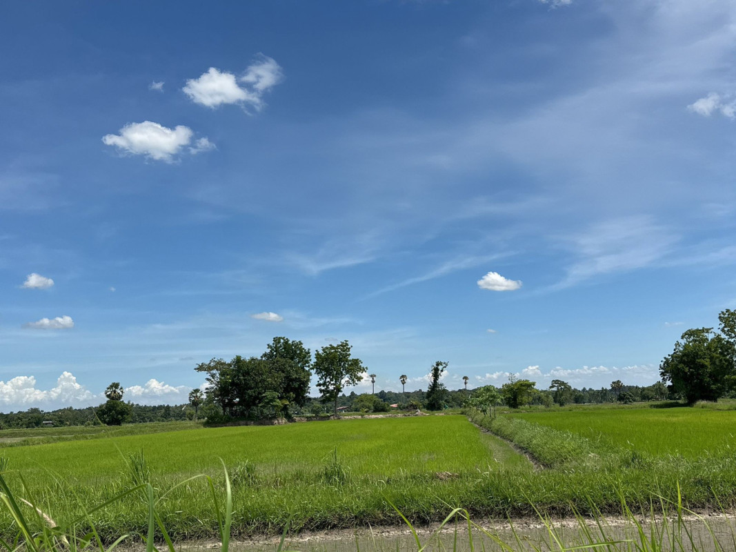 ที่ดินเปล่า กาฬสินธุ์ เมืองกาฬสินธุ์ โพนทอง 1700000